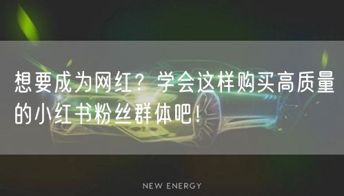 想要成为网红？学会这样购买高质量的小红书粉丝群体吧！
