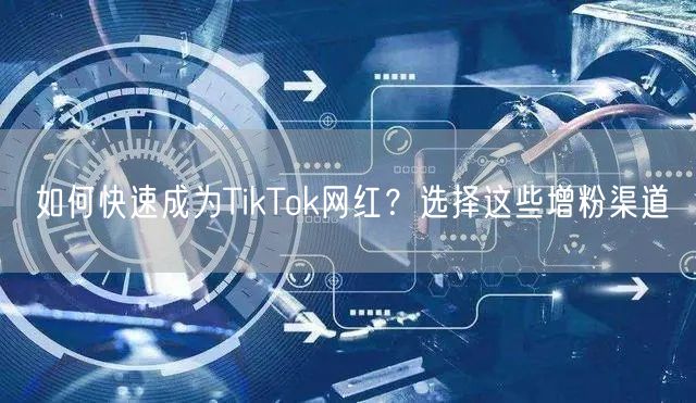 如何快速成为TikTok网红？选择这些增粉渠道