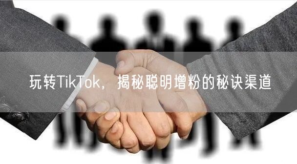 玩转TikTok，揭秘聪明增粉的秘诀渠道