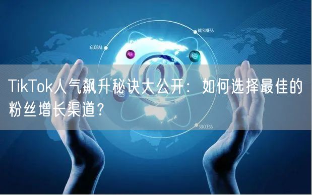 TikTok人气飙升秘诀大公开：如何选择最佳的粉丝增长渠道？