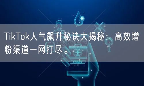 TikTok人气飙升秘诀大揭秘：高效增粉渠道一网打尽。