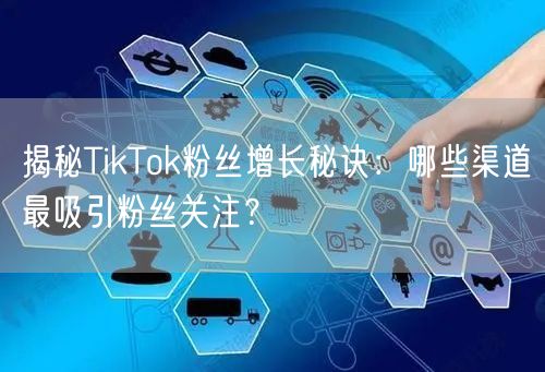 揭秘TikTok粉丝增长秘诀：哪些渠道最吸引粉丝关注？