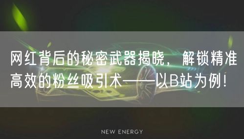 网红背后的秘密武器揭晓，解锁精准高效的粉丝吸引术——以B站为例！