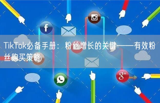 TikTok必备手册：粉丝增长的关键——有效粉丝购买策略
