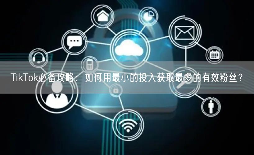 TikTok必备攻略：如何用最小的投入获取最多的有效粉丝？