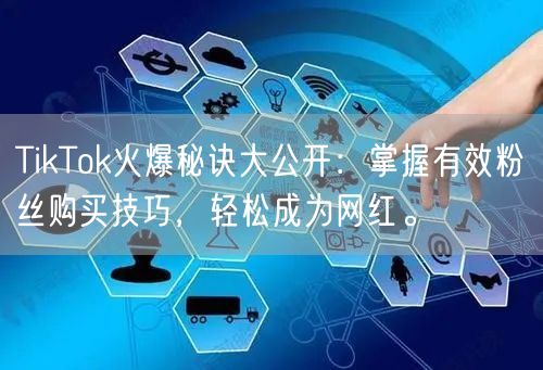 TikTok火爆秘诀大公开：掌握有效粉丝购买技巧，轻松成为网红。