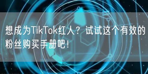 想成为TikTok红人？试试这个有效的粉丝购买手册吧！