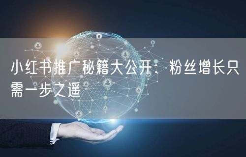 小红书推广秘籍大公开：粉丝增长只需一步之遥