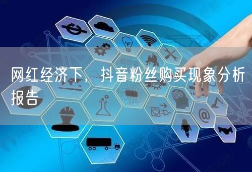 网红经济下，抖音粉丝购买现象分析报告