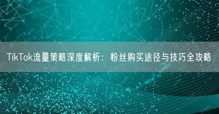 TikTok流量策略深度解析：粉丝购买途径与技巧全攻略