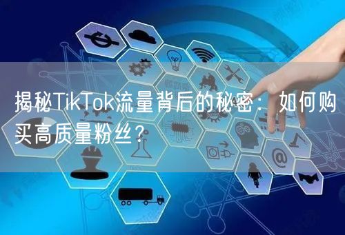 揭秘TikTok流量背后的秘密：如何购买高质量粉丝？