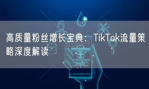 高质量粉丝增长宝典：TikTok流量策略深度解读