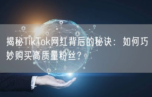 揭秘TikTok网红背后的秘诀：如何巧妙购买高质量粉丝？