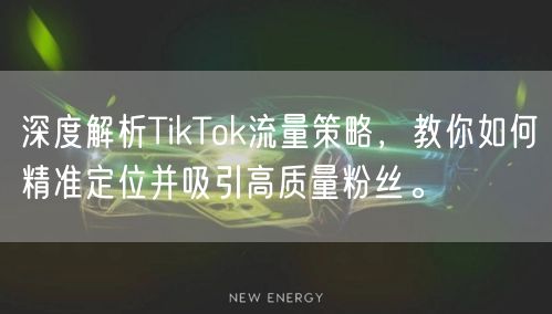 深度解析TikTok流量策略，教你如何精准定位并吸引高质量粉丝。