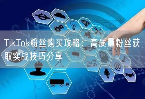 TikTok粉丝购买攻略：高质量粉丝获取实战技巧分享