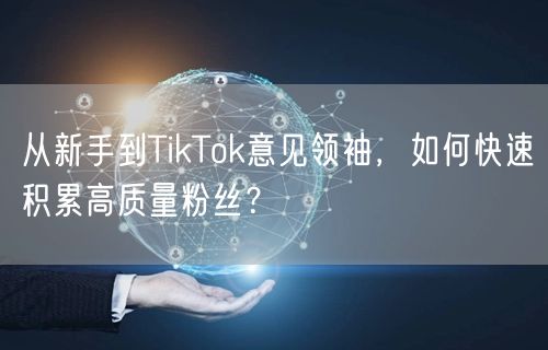 从新手到TikTok意见领袖，如何快速积累高质量粉丝？