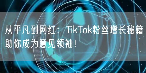 从平凡到网红：TikTok粉丝增长秘籍助你成为意见领袖！
