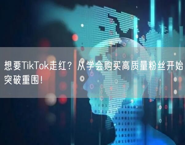 想要TikTok走红？从学会购买高质量粉丝开始突破重围！