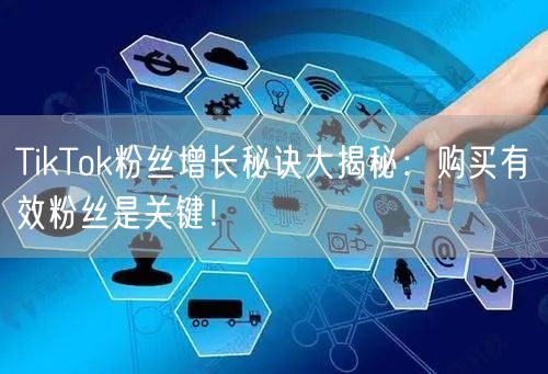 TikTok粉丝增长秘诀大揭秘：购买有效粉丝是关键！