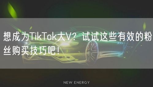 想成为TikTok大V？试试这些有效的粉丝购买技巧吧！