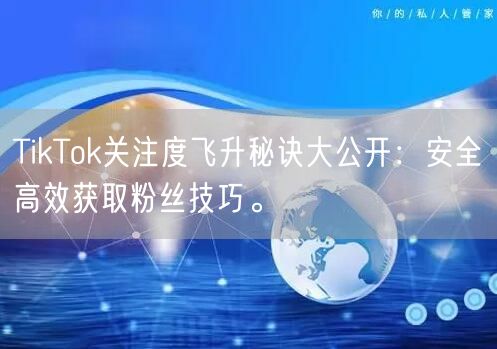 TikTok关注度飞升秘诀大公开：安全高效获取粉丝技巧。