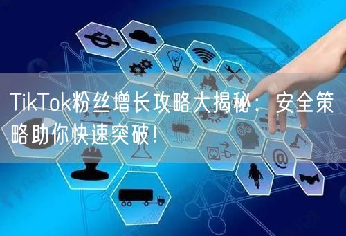 TikTok粉丝增长攻略大揭秘：安全策略助你快速突破！