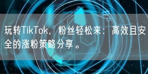 玩转TikTok，粉丝轻松来：高效且安全的涨粉策略分享。