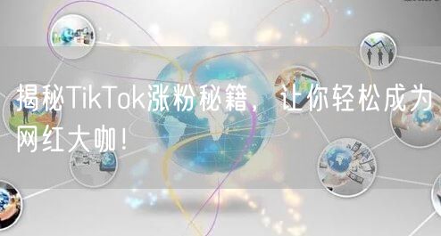 揭秘TikTok涨粉秘籍，让你轻松成为网红大咖！