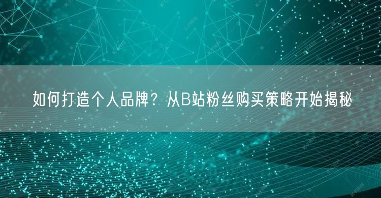如何打造个人品牌？从B站粉丝购买策略开始揭秘