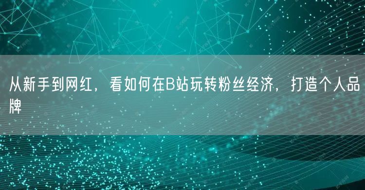 从新手到网红，看如何在B站玩转粉丝经济，打造个人品牌