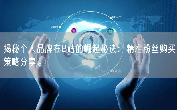 揭秘个人品牌在B站的崛起秘诀：精准粉丝购买策略分享。