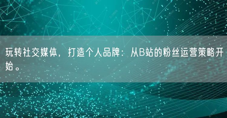玩转社交媒体，打造个人品牌：从B站的粉丝运营策略开始。