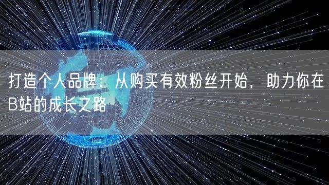 打造个人品牌：从购买有效粉丝开始，助力你在B站的成长之路