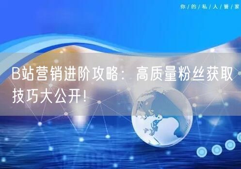 B站营销进阶攻略：高质量粉丝获取技巧大公开！