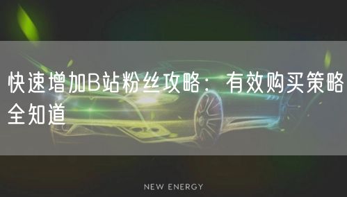 快速增加B站粉丝攻略：有效购买策略全知道