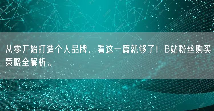 从零开始打造个人品牌，看这一篇就够了！B站粉丝购买策略全解析。