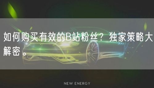 如何购买有效的B站粉丝？独家策略大解密。