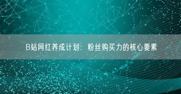B站网红养成计划：粉丝购买力的核心要素
