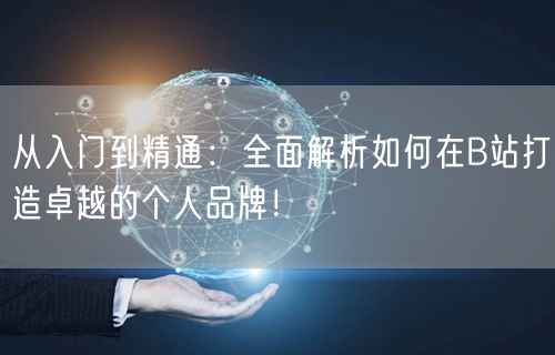 从入门到精通：全面解析如何在B站打造卓越的个人品牌！