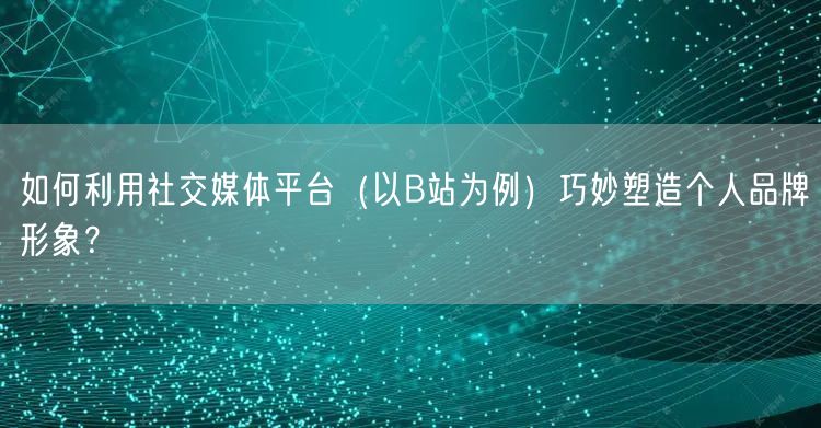 如何利用社交媒体平台（以B站为例）巧妙塑造个人品牌形象？