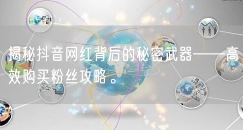 揭秘抖音网红背后的秘密武器——高效购买粉丝攻略。