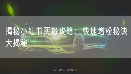 揭秘小红书买粉攻略：快速增粉秘诀大揭秘