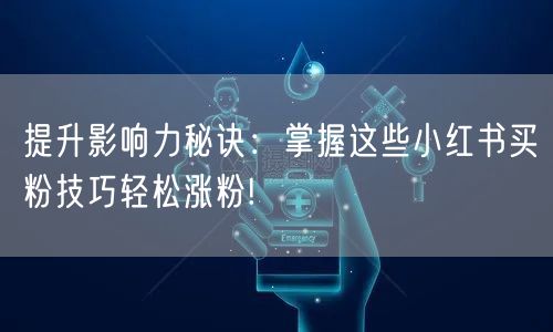 提升影响力秘诀：掌握这些小红书买粉技巧轻松涨粉!