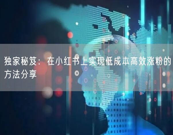 独家秘笈：在小红书上实现低成本高效涨粉的方法分享