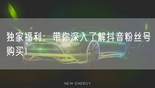 独家福利：带你深入了解抖音粉丝号购买！