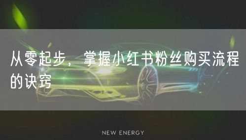 从零起步，掌握小红书粉丝购买流程的诀窍