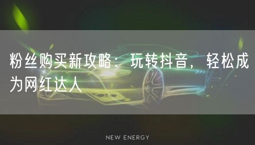 粉丝购买新攻略：玩转抖音，轻松成为网红达人