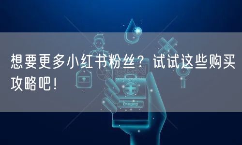 想要更多小红书粉丝？试试这些购买攻略吧！