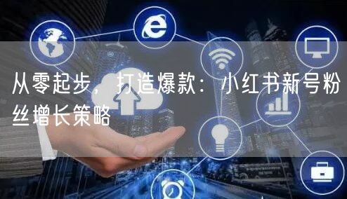 从零起步，打造爆款：小红书新号粉丝增长策略