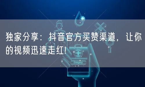 独家分享：抖音官方买赞渠道，让你的视频迅速走红!